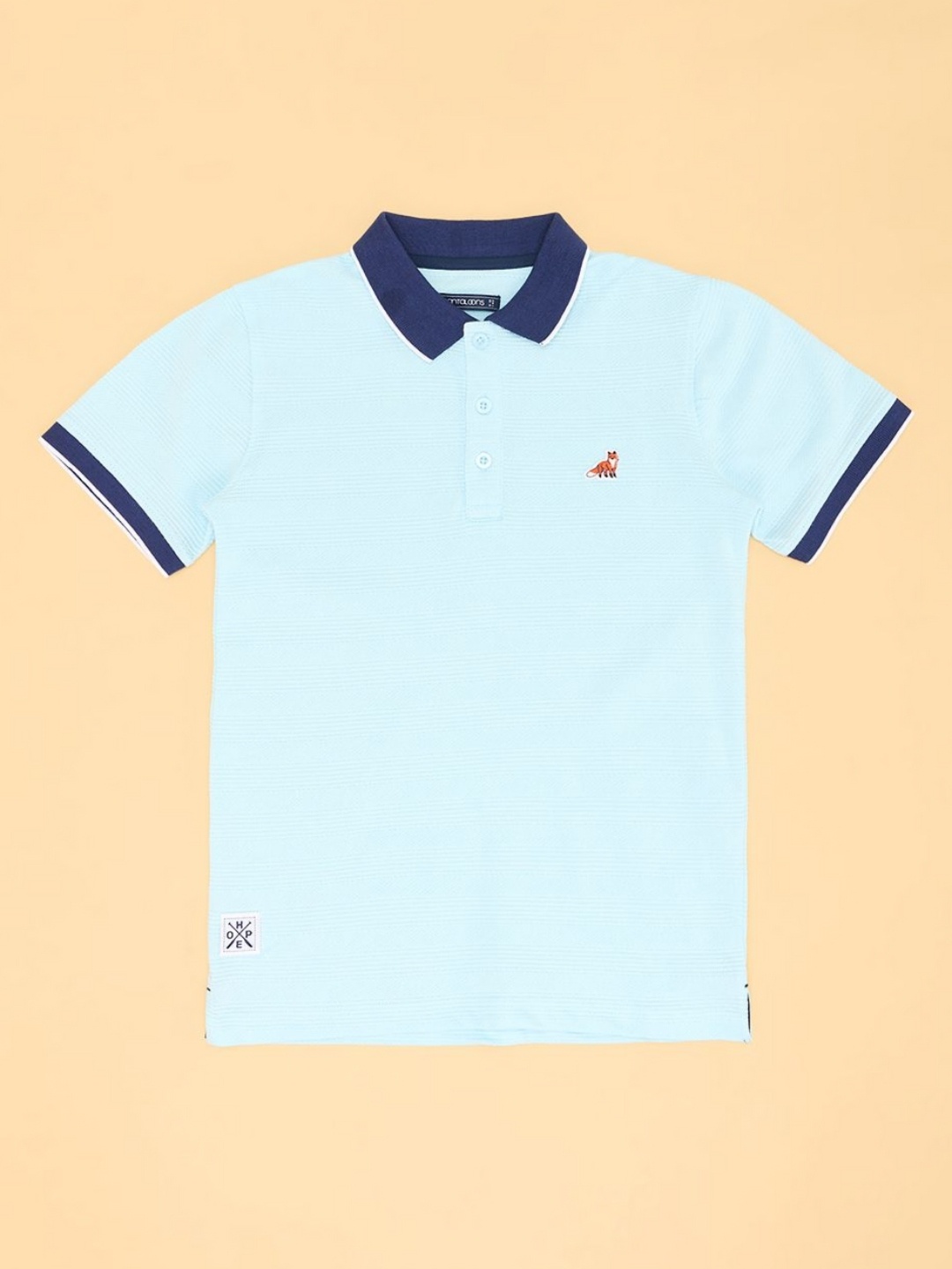 

Pantaloons Junior Boys Solid Polo Collar Cotton T-shirt, Turquoise blue