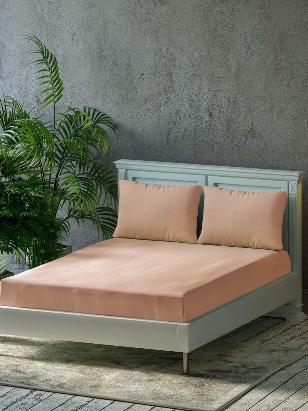 

Trance Home Linen Peach Pure Cotton 300 TC Fitted Queen Bedsheet Set 1.91 m x 1.52 m