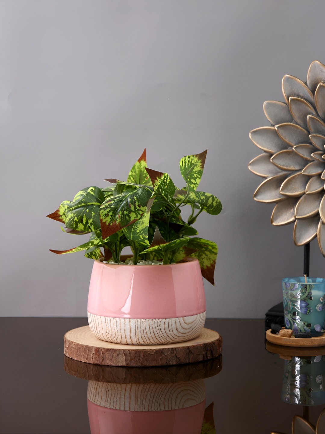 

TAYHAA White & Pink Blushwood Harmony Printed Ceramic Flower Planter