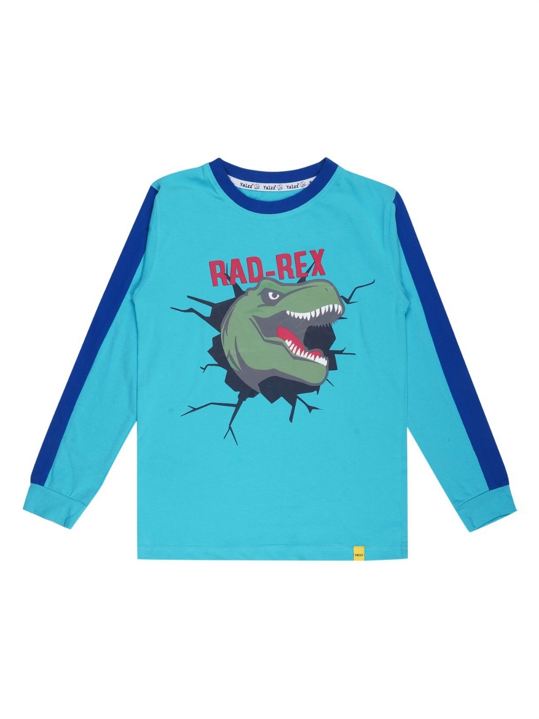 

YALZZ Boys Printed Applique T-shirt, Blue