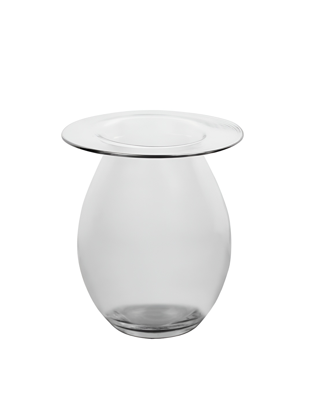 

IAAH Modest Transparent Decorative Glass Flower Vase