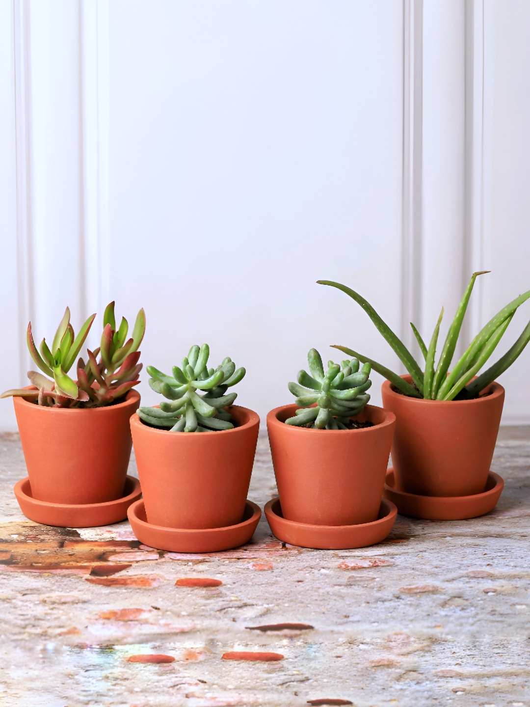 

The handicraftian 4Pc Brown Small Cone Planter