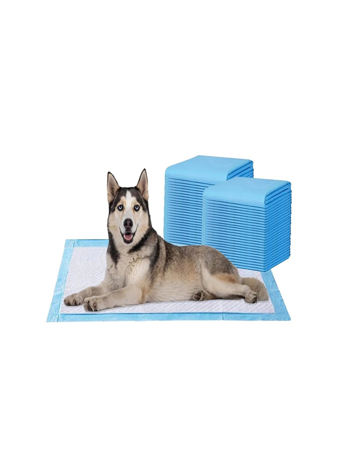

AMORITE Set Of 50 Pet Training Pads, Blue