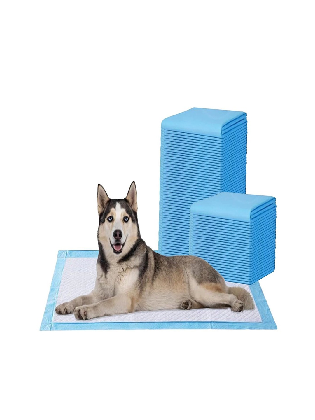 

AMORITE Set Of 75 Pet Training Pads, Blue