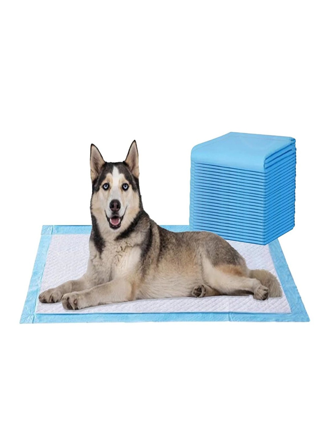 

AMORITE Set Of 25 Pet Training Pads, Blue