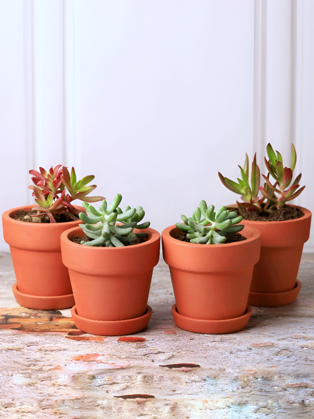 

The handicraftian Gamala Brown 4 Pieces Pure Clay Planters With Plate