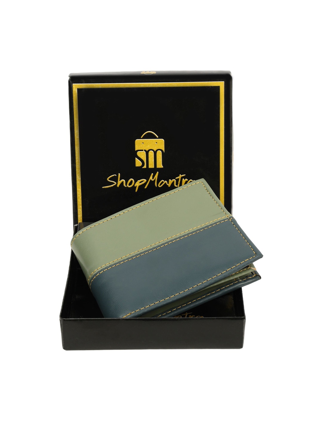 

ShopMantra Men Colourblocked PU Two Fold Wallet, Green