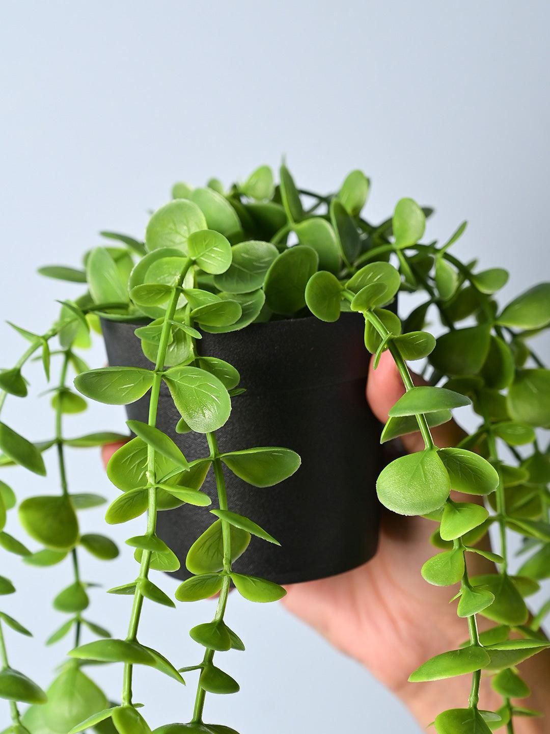 

MARKET99 Green 2 Pieces Hanging Hoya Artificial Plant With Pot