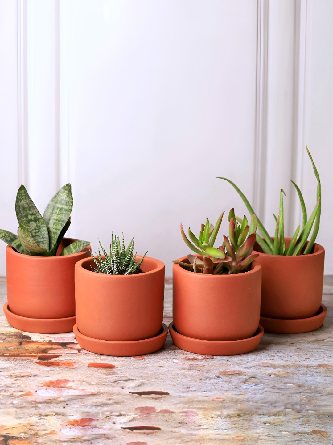 

The handicraftian Brown 4 Pieces Clay Small Autumn Planters With Plates