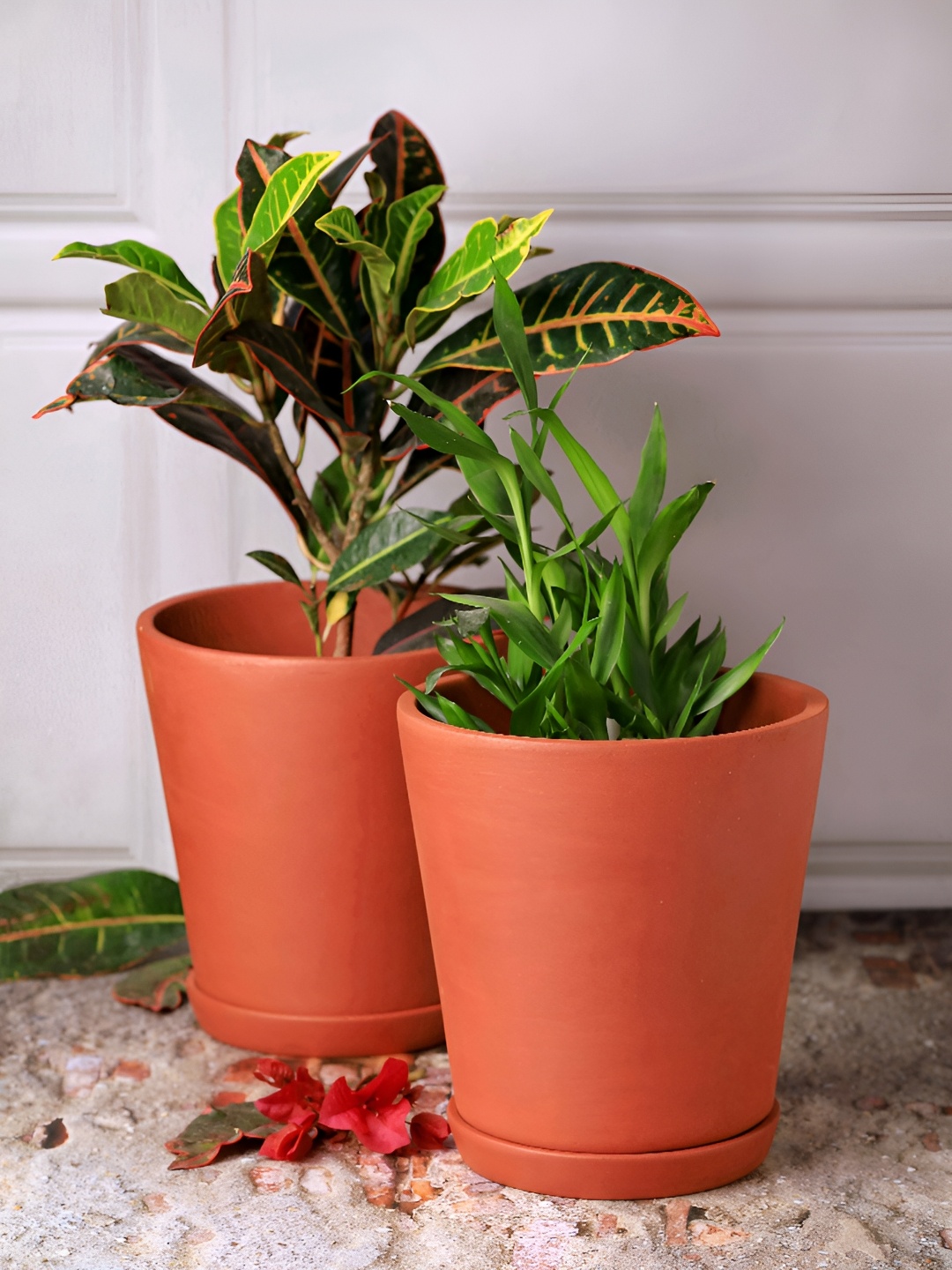 

The handicraftian 4Pc Brown Large Cone Planter