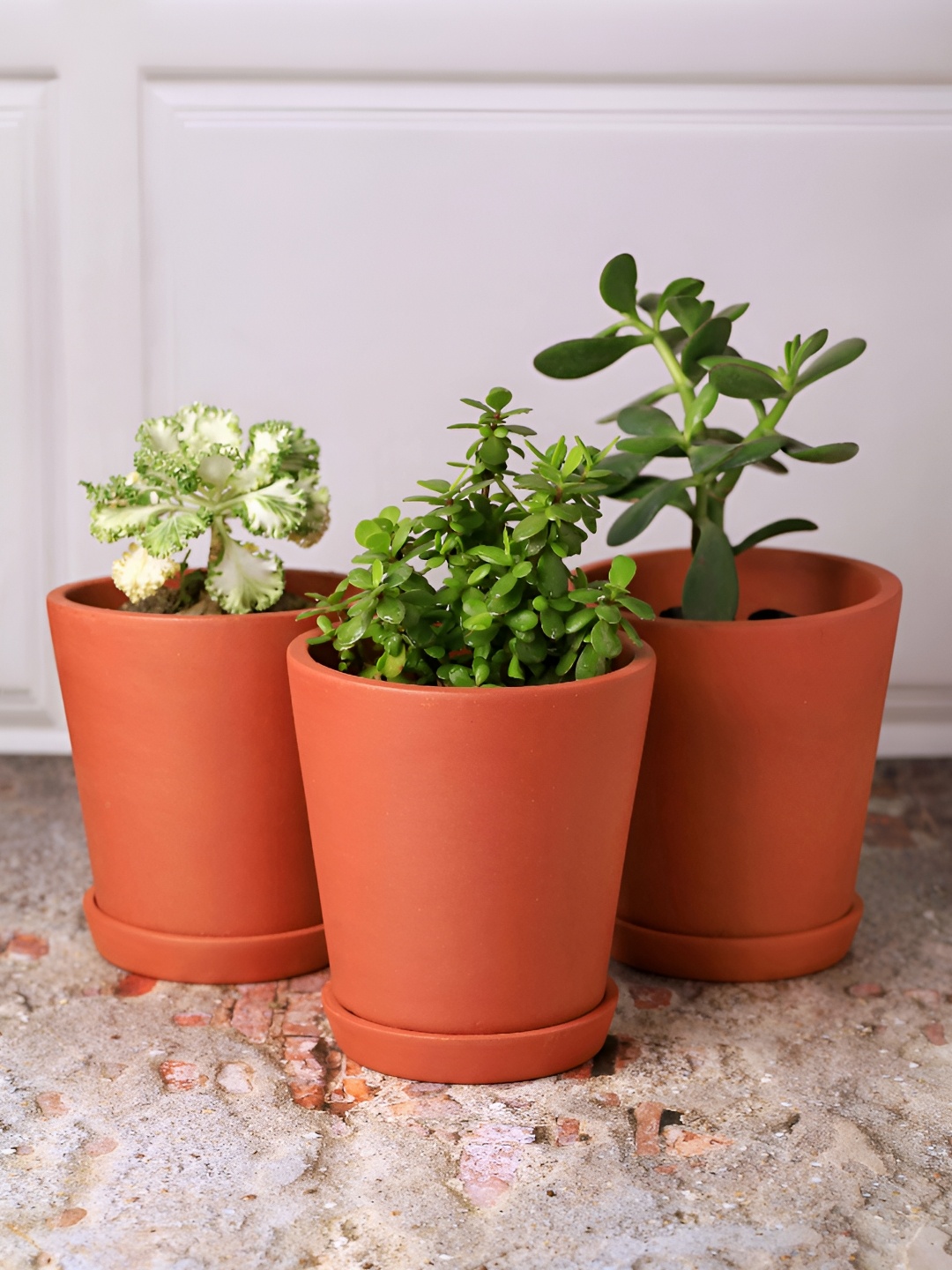 

The handicraftian 12-Pcs Brown Medium Cone Planter
