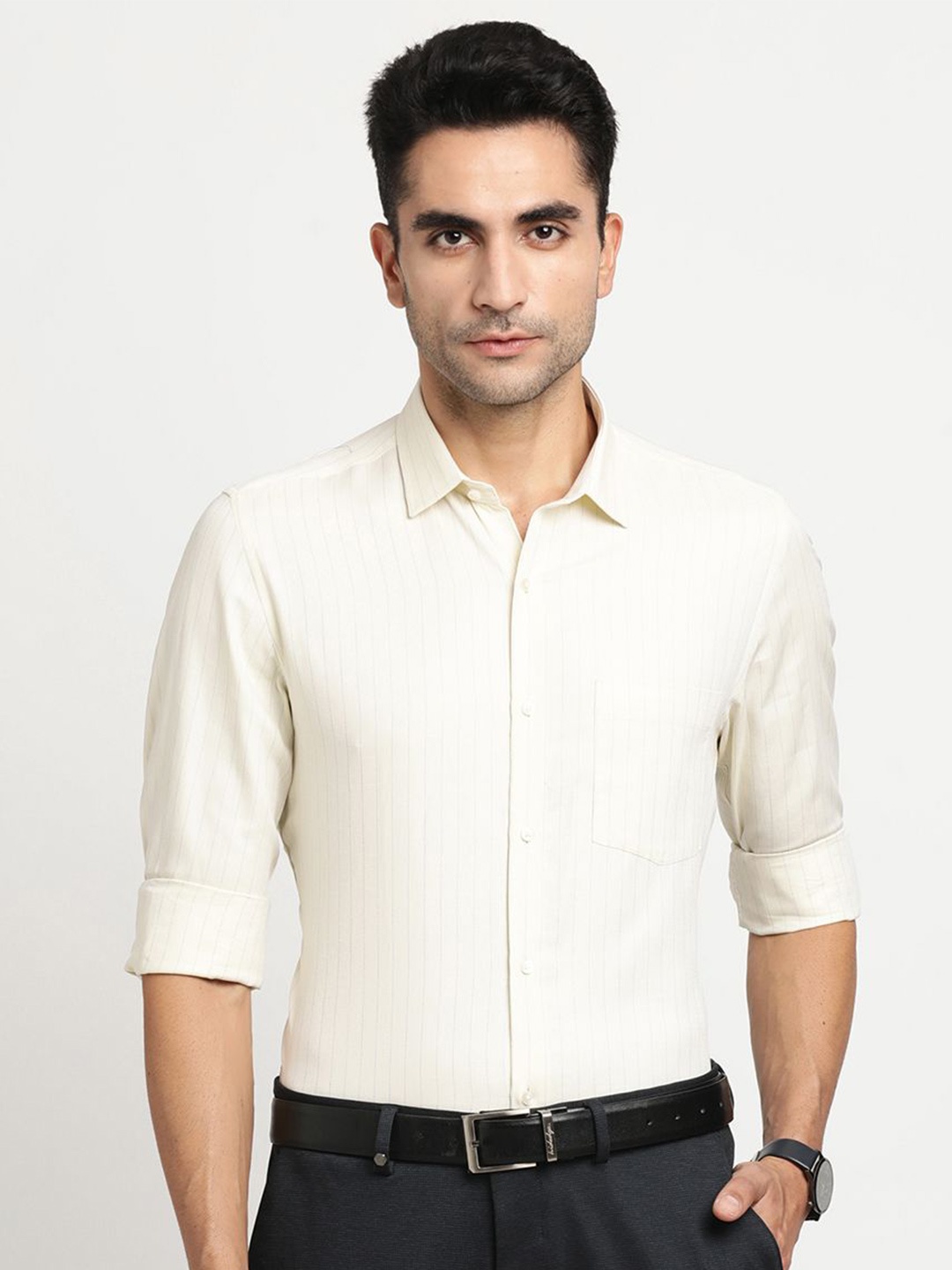 

Turtle Men Standard Opaque Striped Formal Shirt, Beige