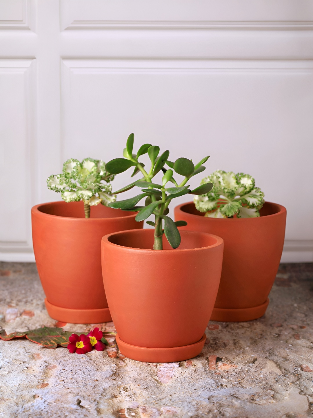 

The handicraftian 4Pc Brown Medium Hexane Planters