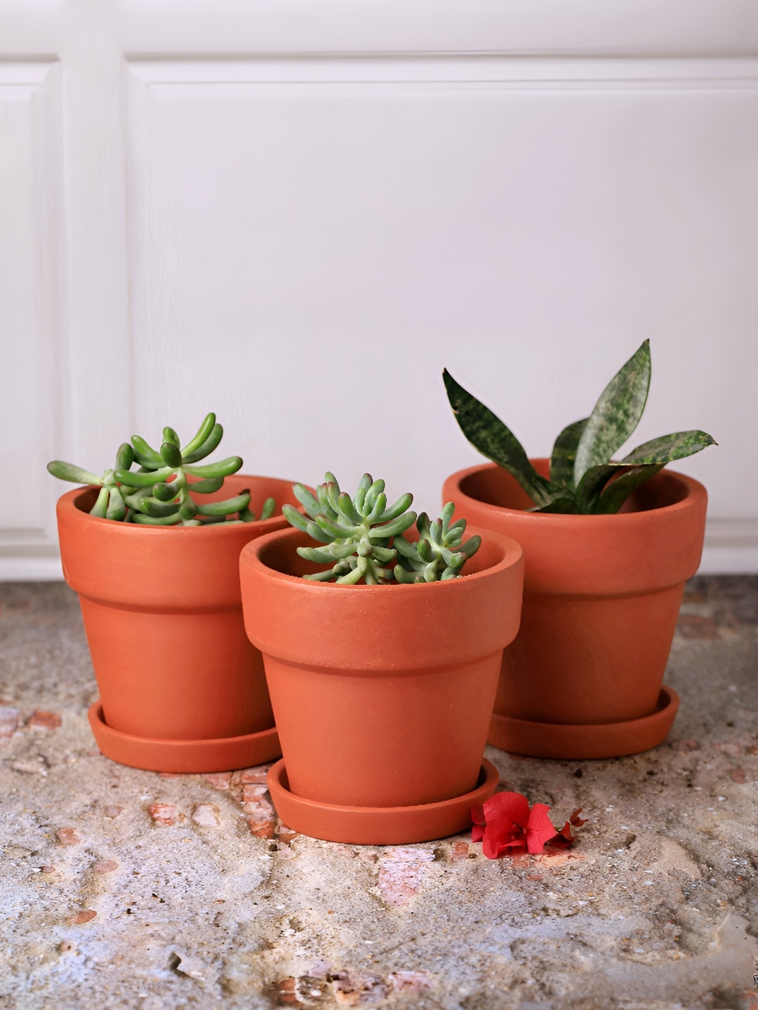 

The handicraftian 10 Pc Medium Gamala Planters, Brown