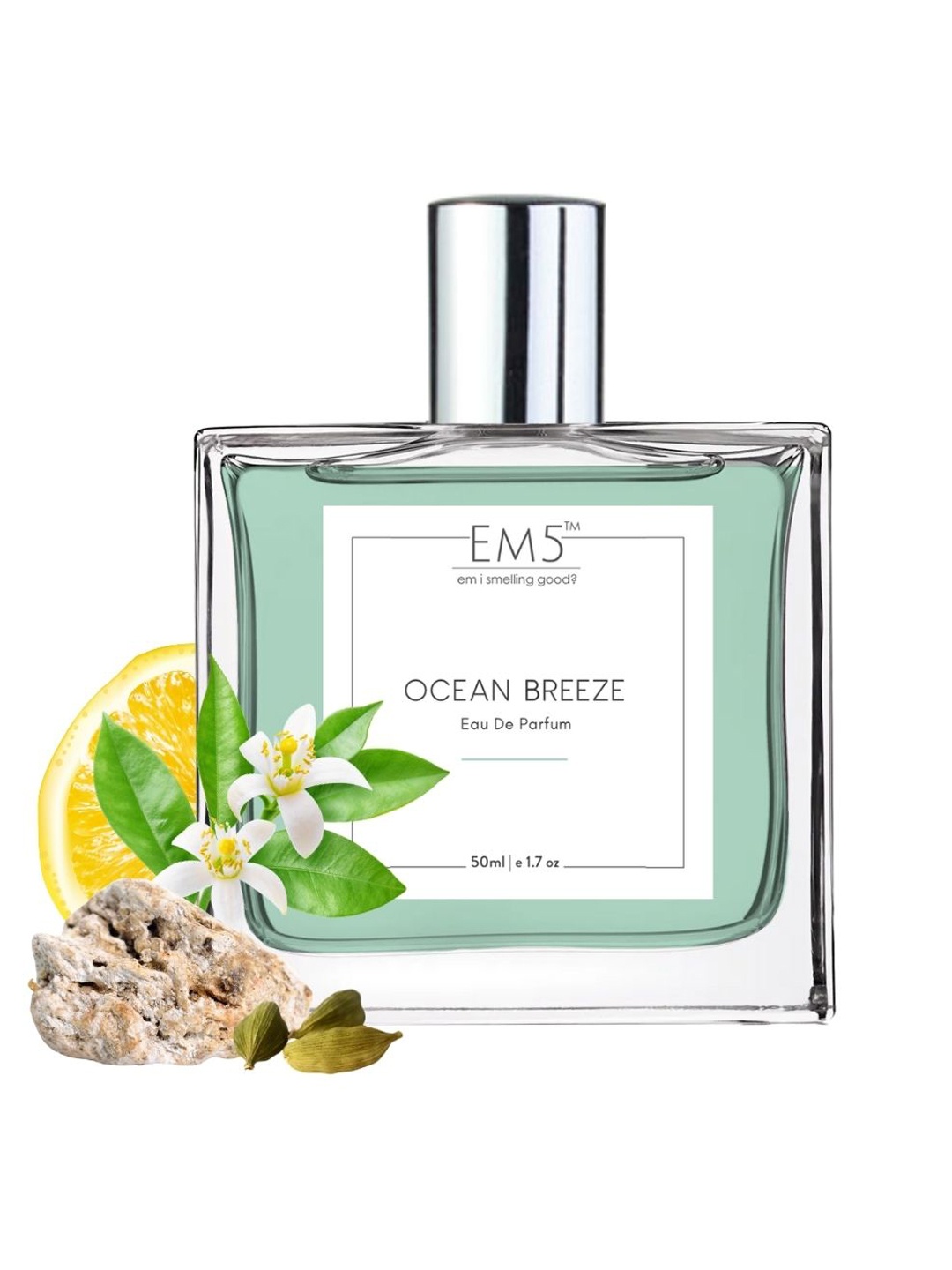 

EM5 Ocean Breeze Long Lasting Eau De Parfum - 50 ml, Transparent