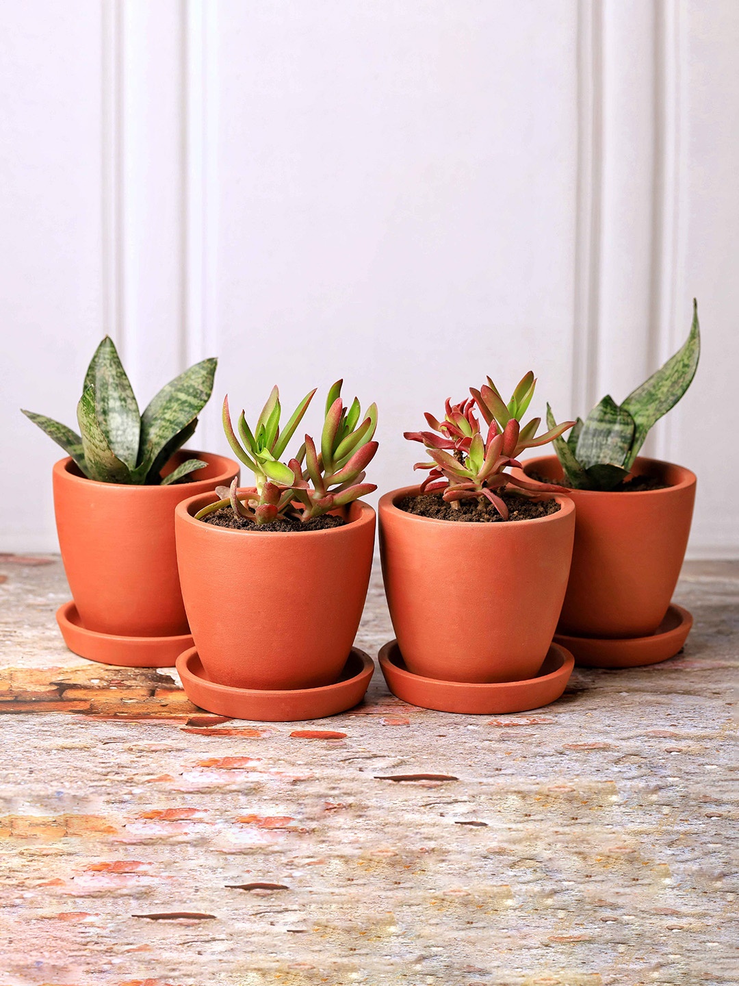 

The handicraftian 8 Pc Brown Small Hexane Planters