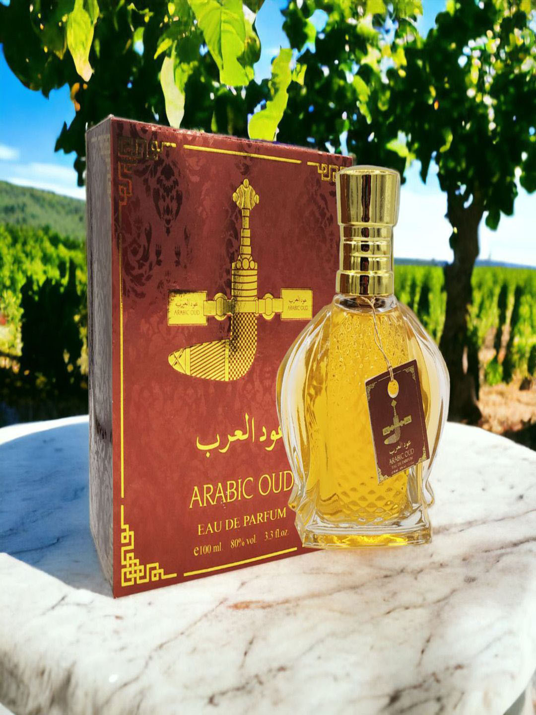 

NP Arabic Oud Long Lasting Eau De Parfum - 100 ml, Brown