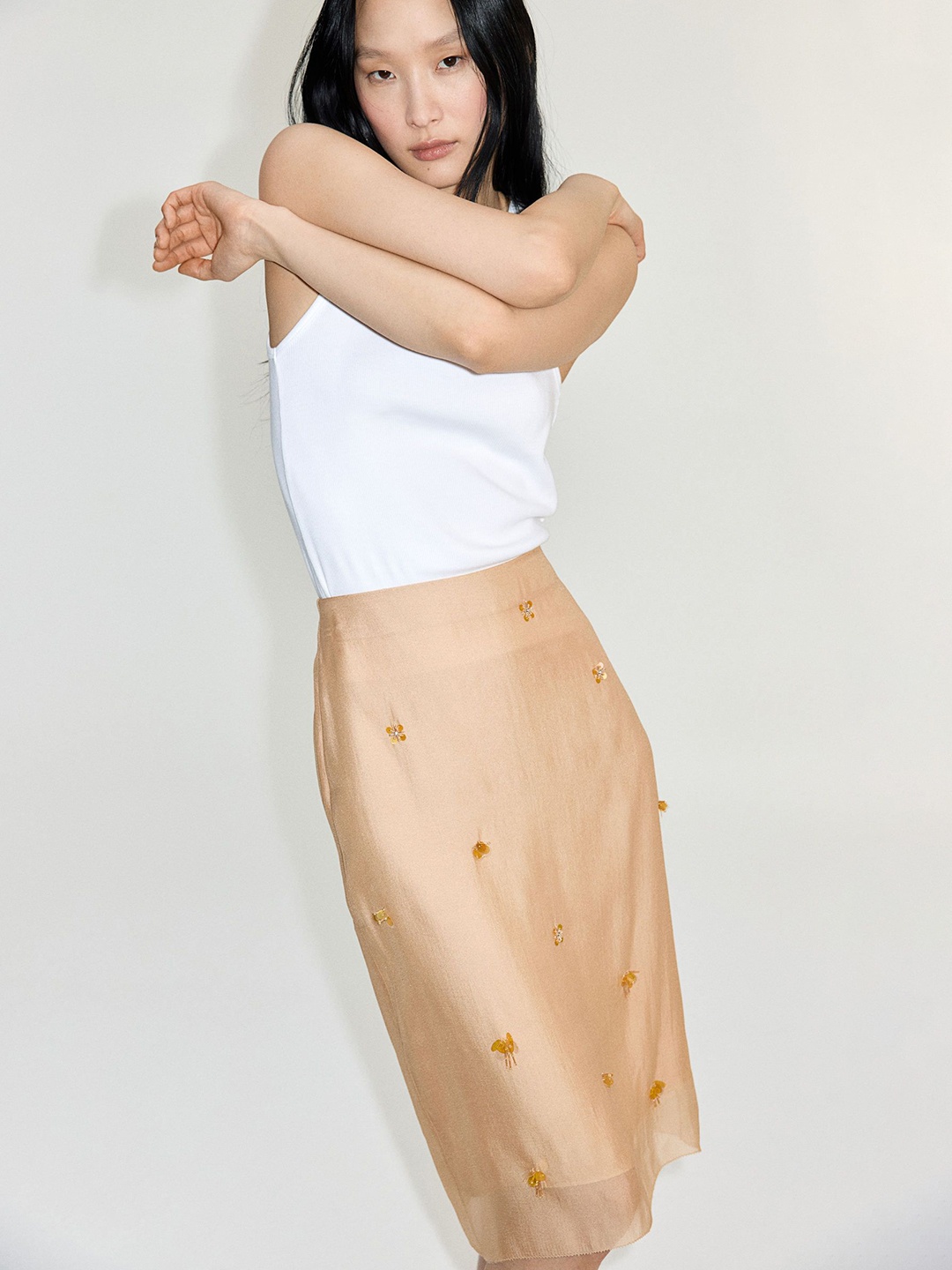 

H&M Sheer Embellished Skirt, Beige