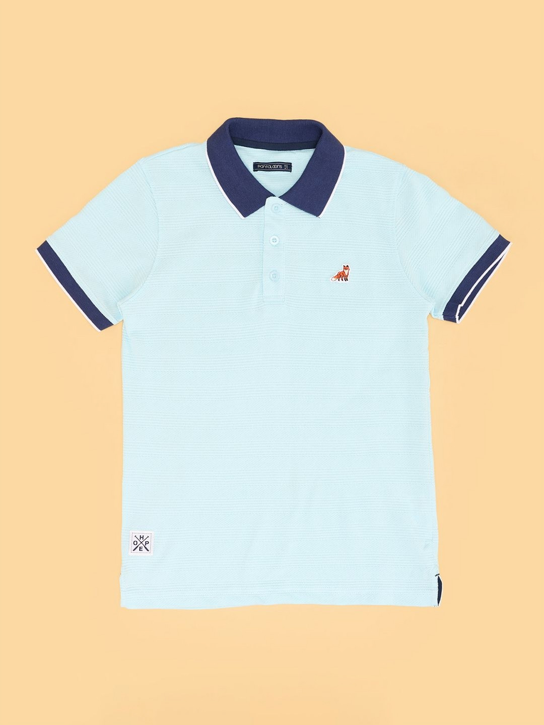 

Pantaloons Junior Boys Polo Collar T-shirt, Blue