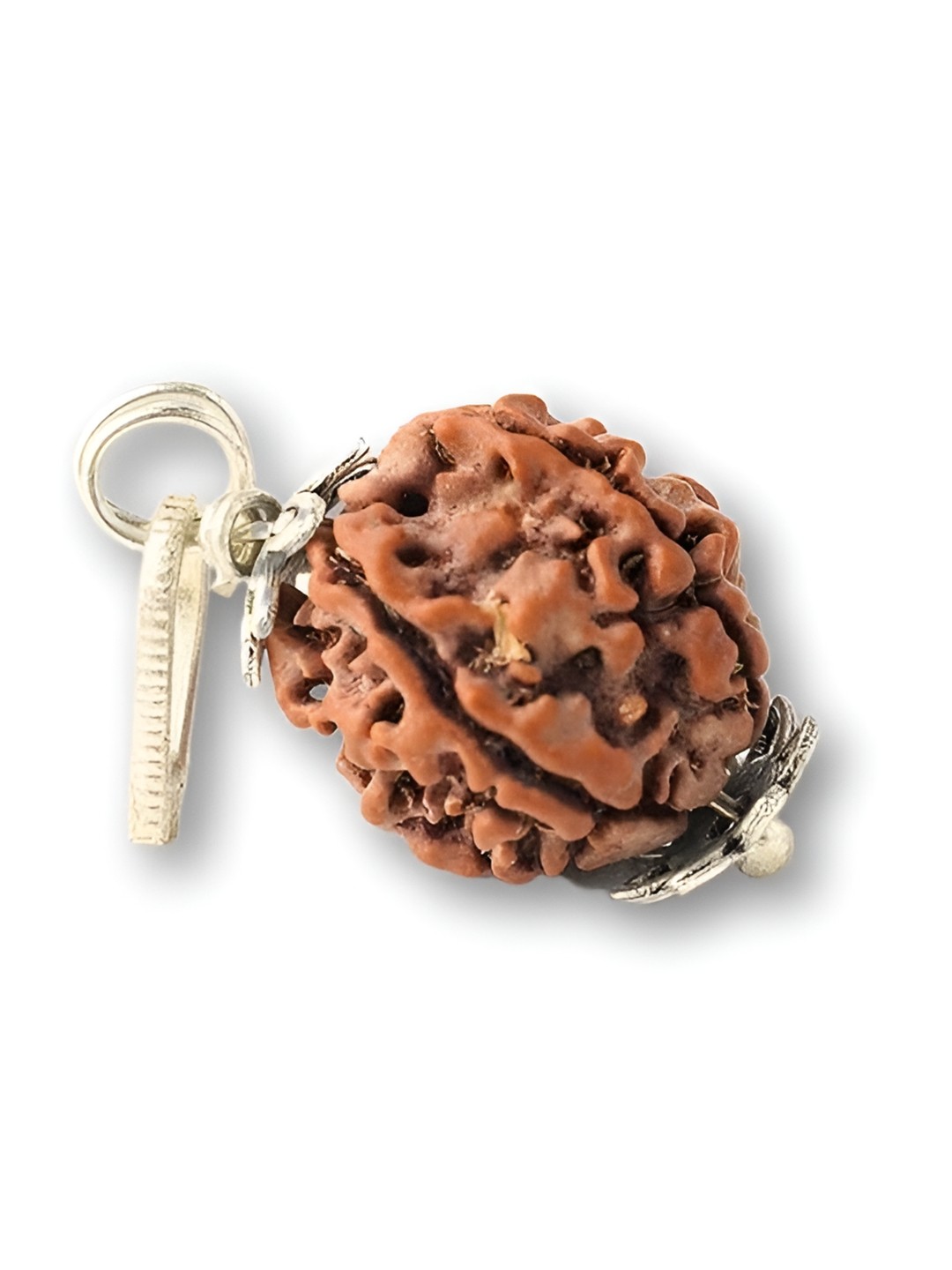 

NAYRA HANDICRAFTS Silver-Toned Natural Panchmukhi Rudraksha Pendants