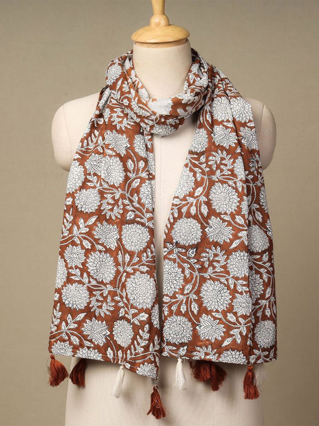 

iTokri Women Printed Stole, Brown