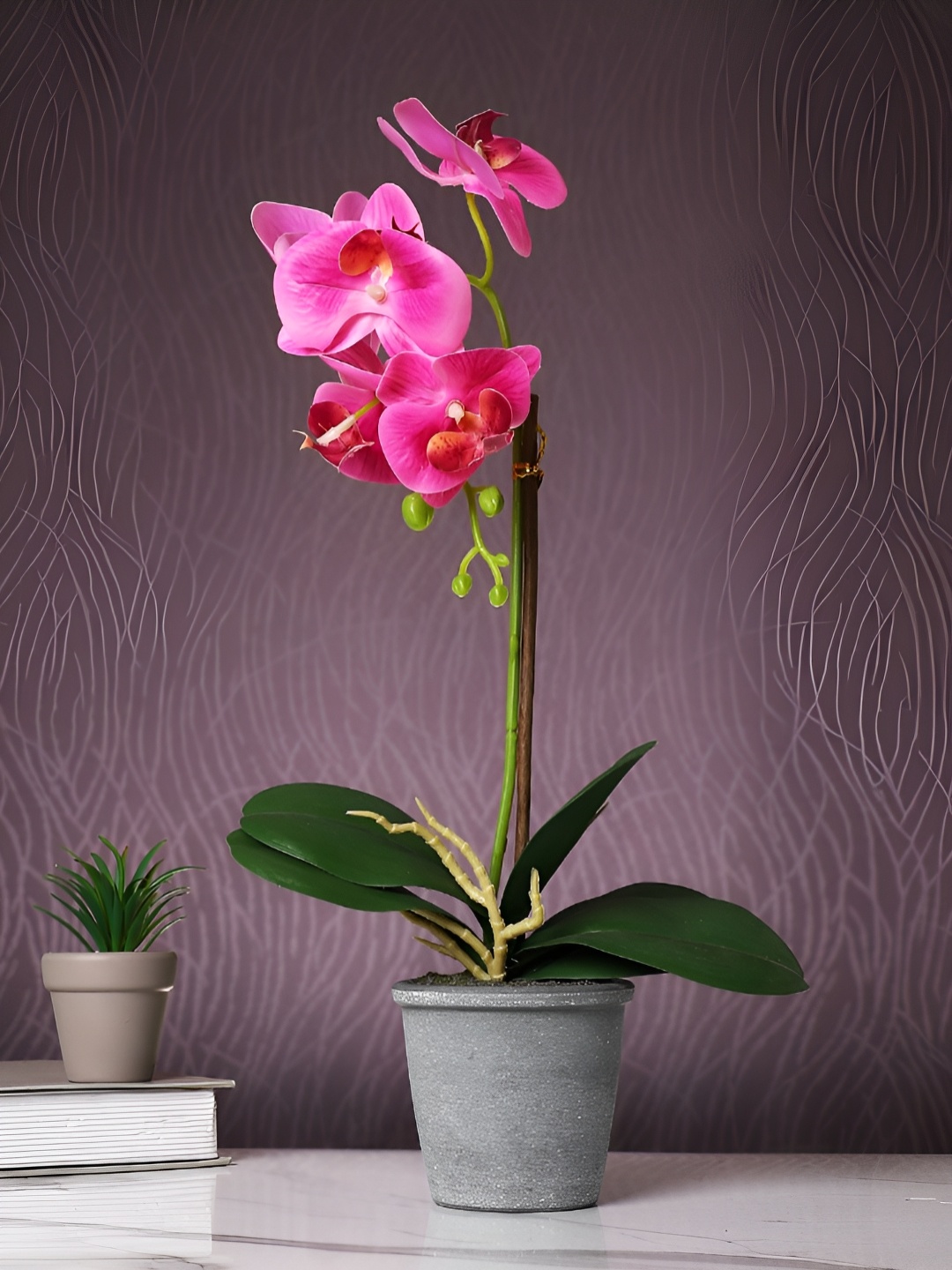 

Myntra Elegant Homes Grey 1 Pieces Orchid Artificial Plant With Pot