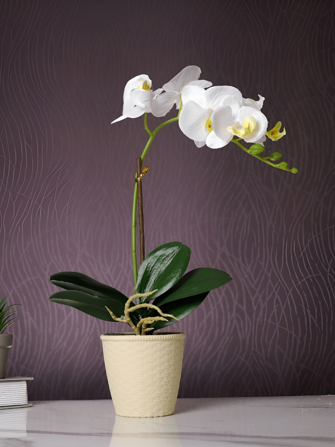 

TAYHAA Beige 1 Pieces Orchid Artificial Plant With Pot