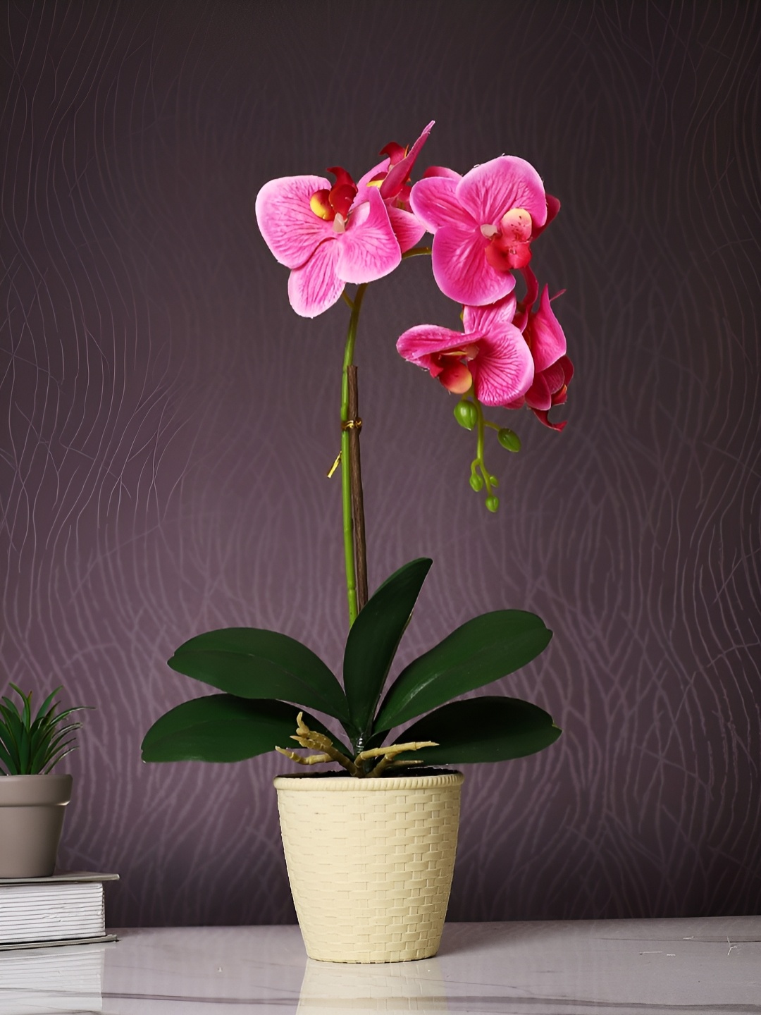 

TAYHAA Beige 1 Pieces Orchid Artificial Plant With Pot