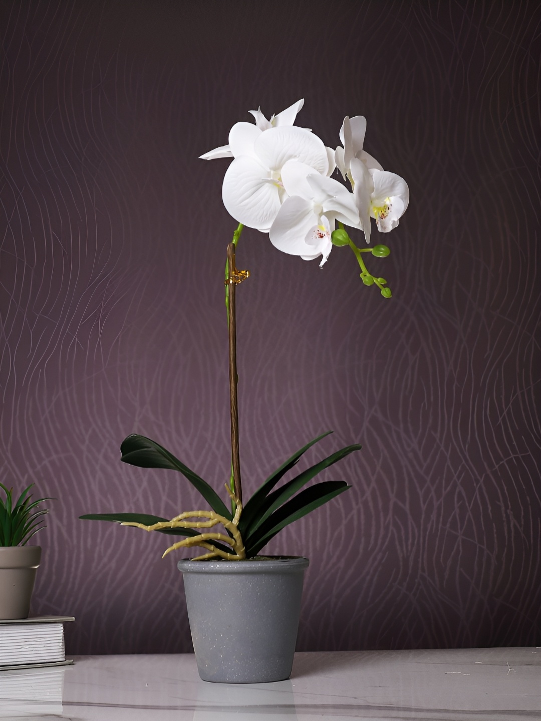 

TAYHAA Grey 1 Pieces Orchid Artificial Plant With Pot