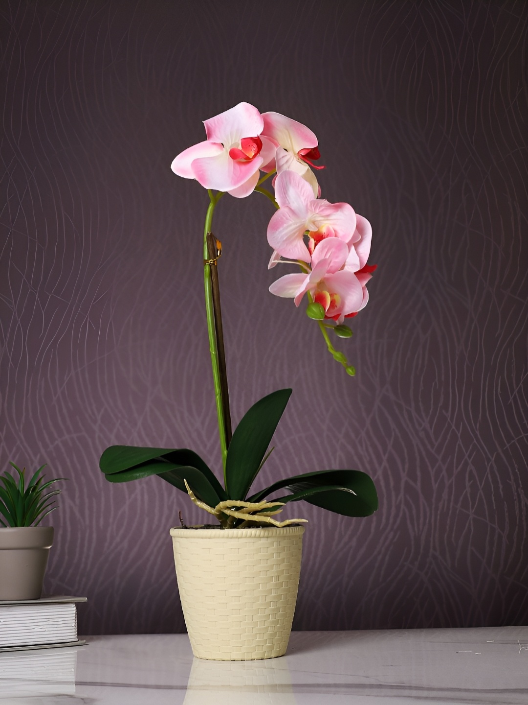 

Myntra Elegant Homes Beige 1 Pieces Orchid Artificial Plant With Pot