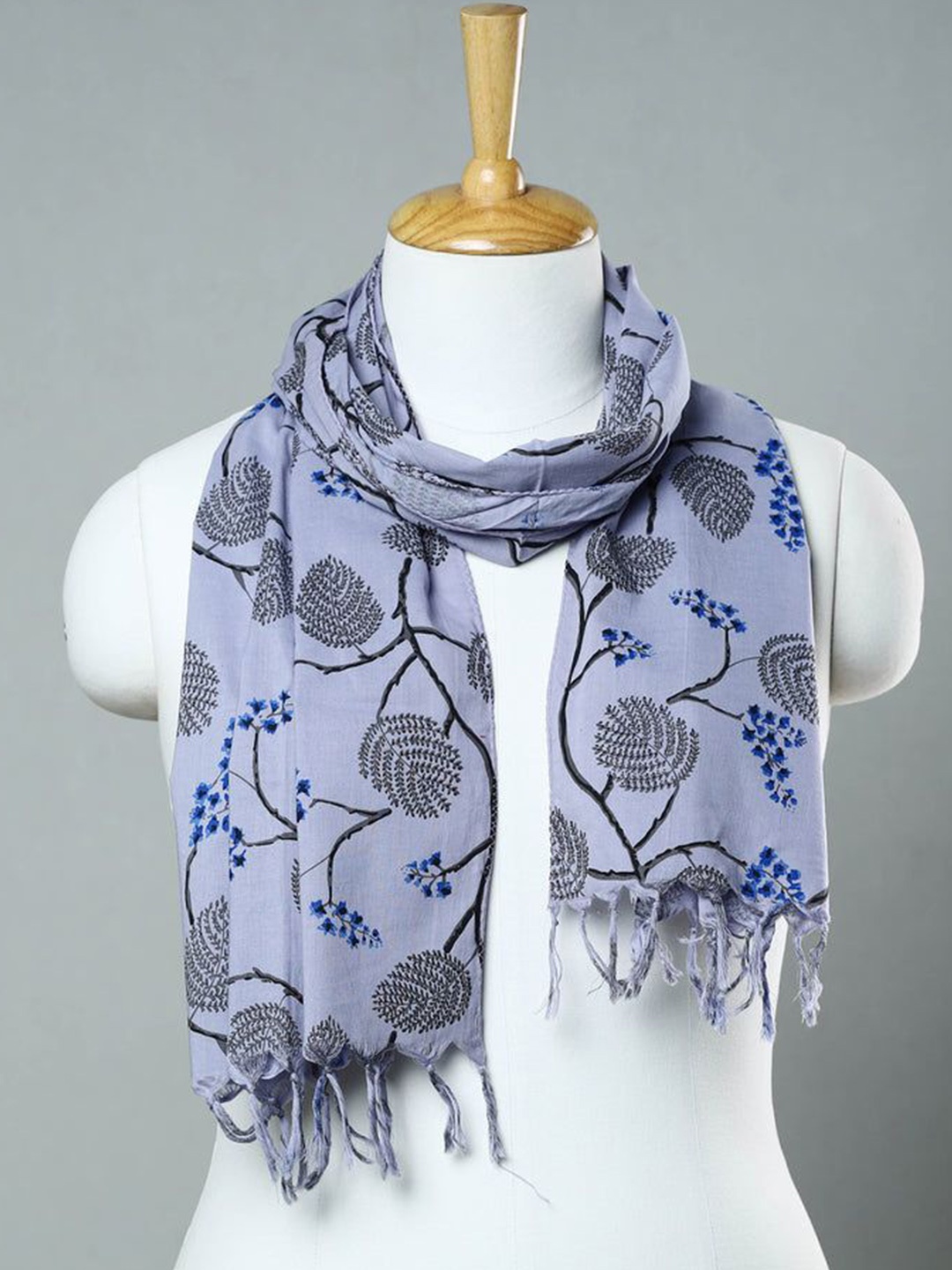 

iTokri Women Printed Stole, Blue