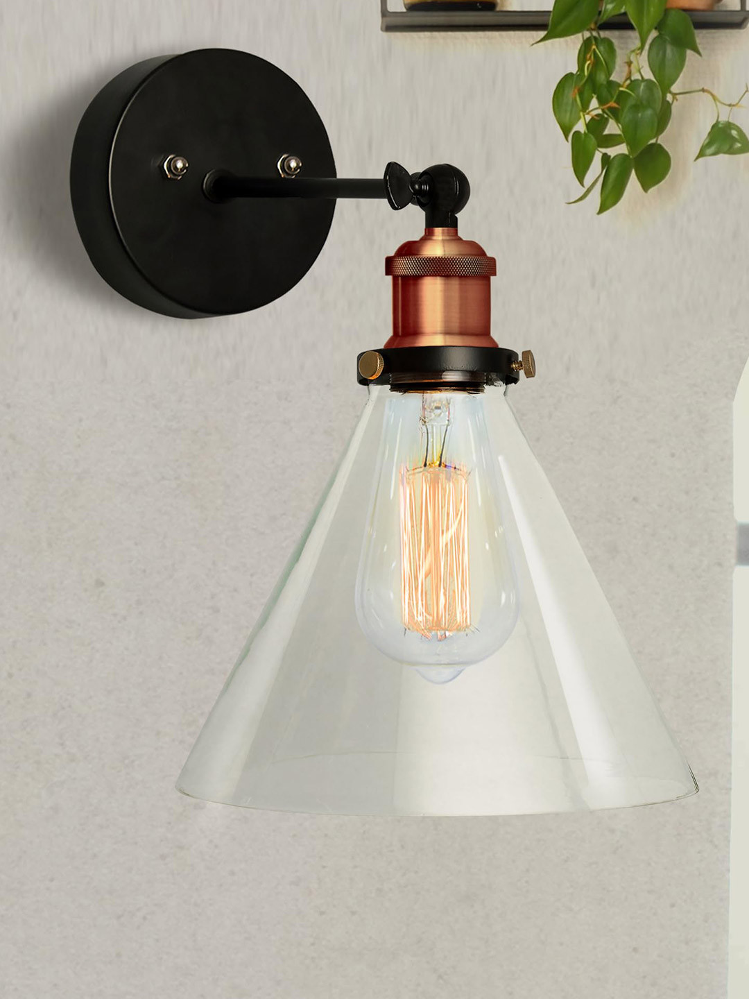 Homesake Unisex Black Wall Lamps