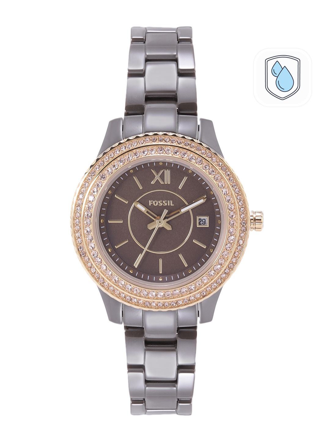 

Fossil Women Brown Dial & Brown Ceramic Straps Analogue Watch CE1122
