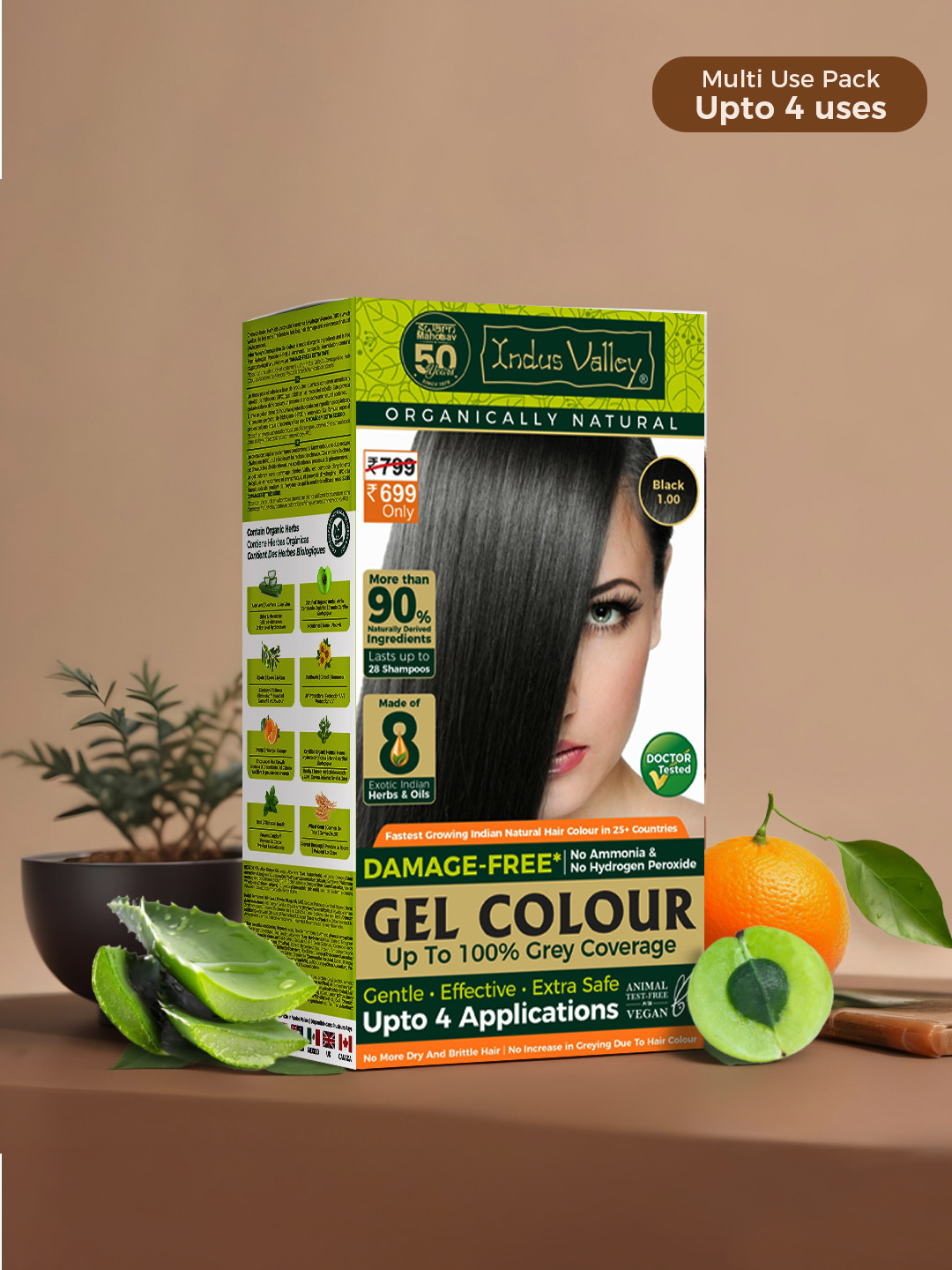 Indus Valley Organically Natural Gel Black 1.00 Hair Color 220 g