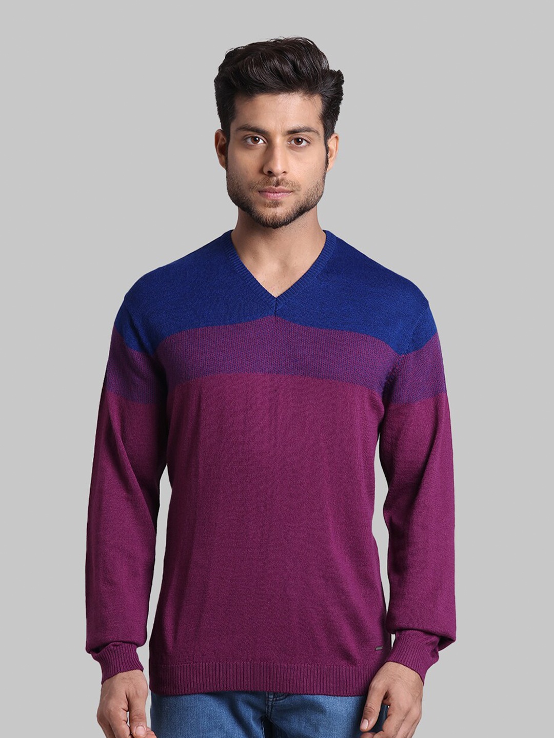 

Park Avenue Men Purple And Blue Colourblocked Wool Pullover Sweater