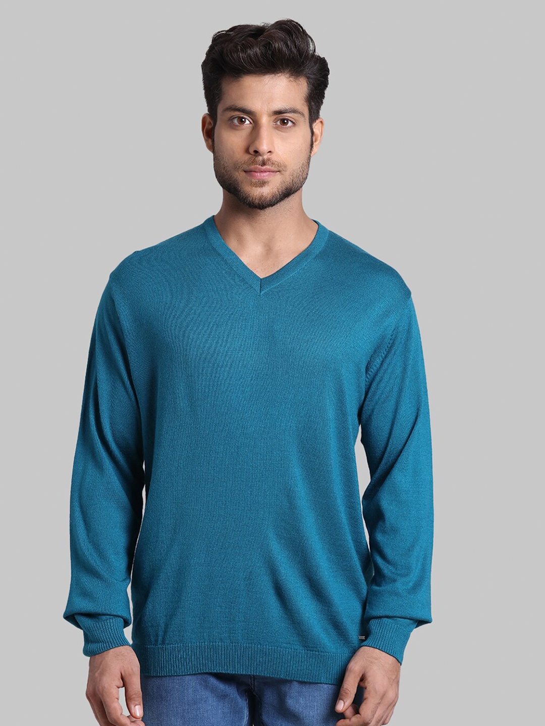

Park Avenue Men Blue Pullover Sweater