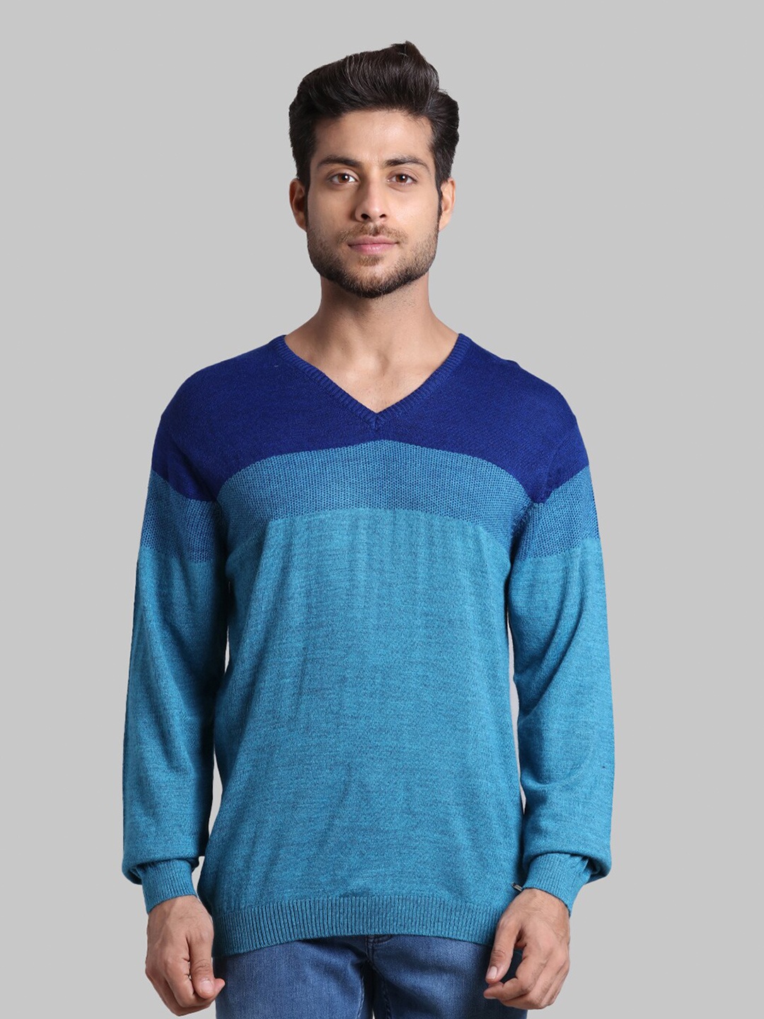 

Park Avenue Men Blue Colourblocked Pullover