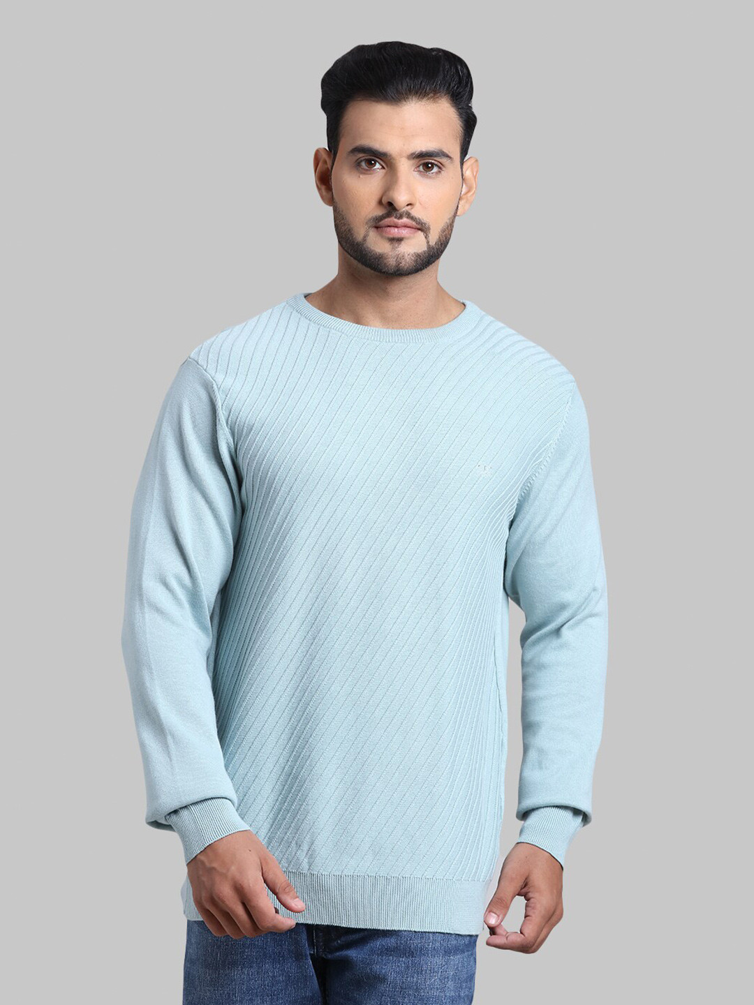 

ColorPlus Men Blue Striped Pullover