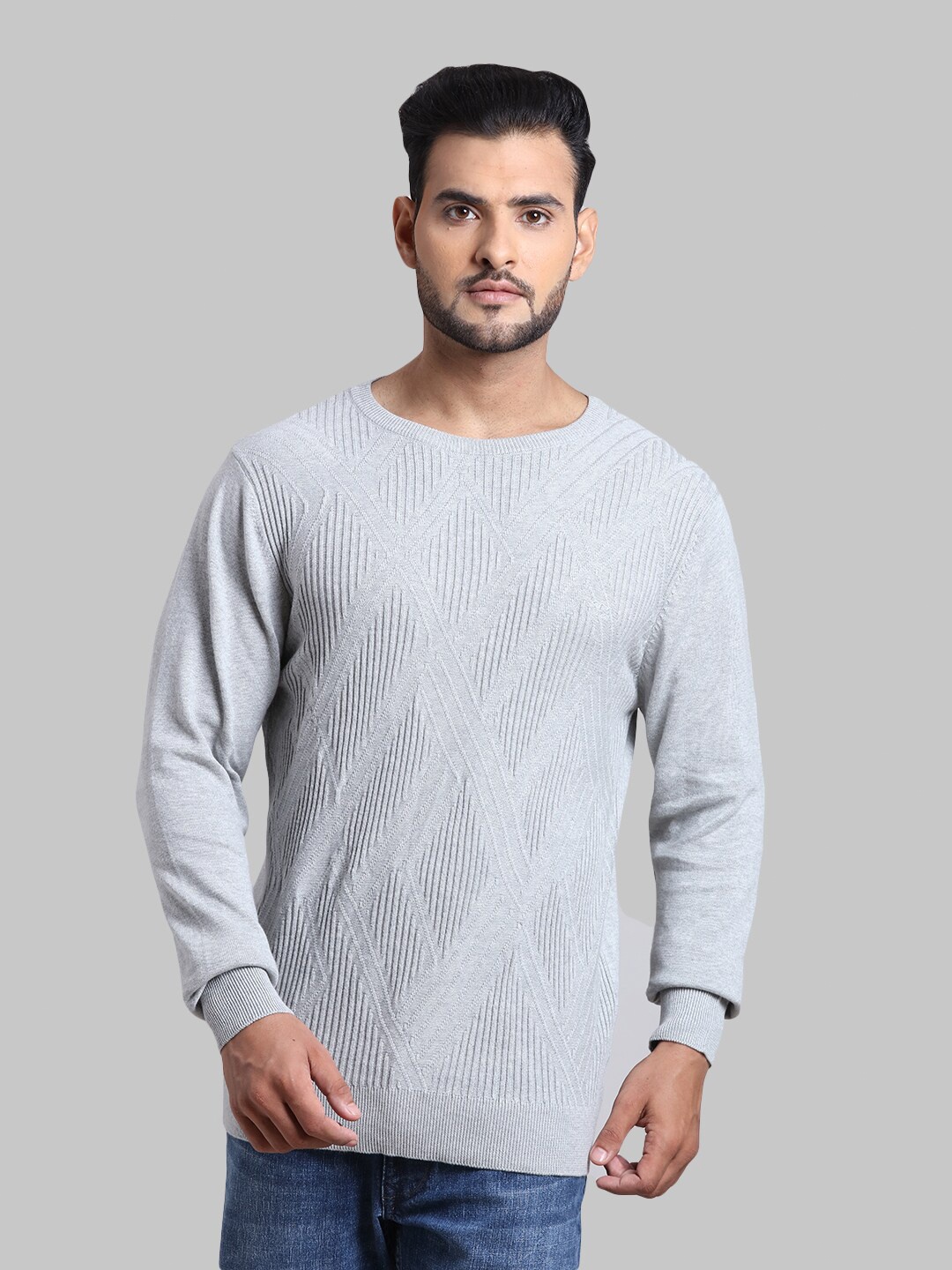 

ColorPlus Men Grey Pullover