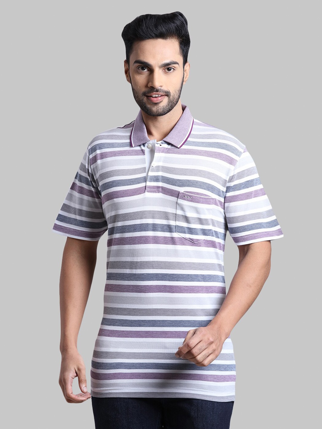 

ColorPlus Men Lavender & Grey Striped Polo Collar T-shirt
