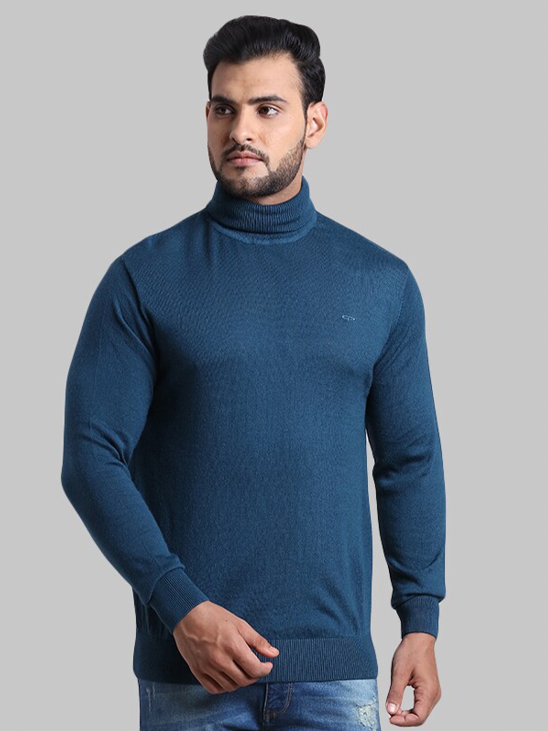 

ColorPlus Men Teal Solid Pullover