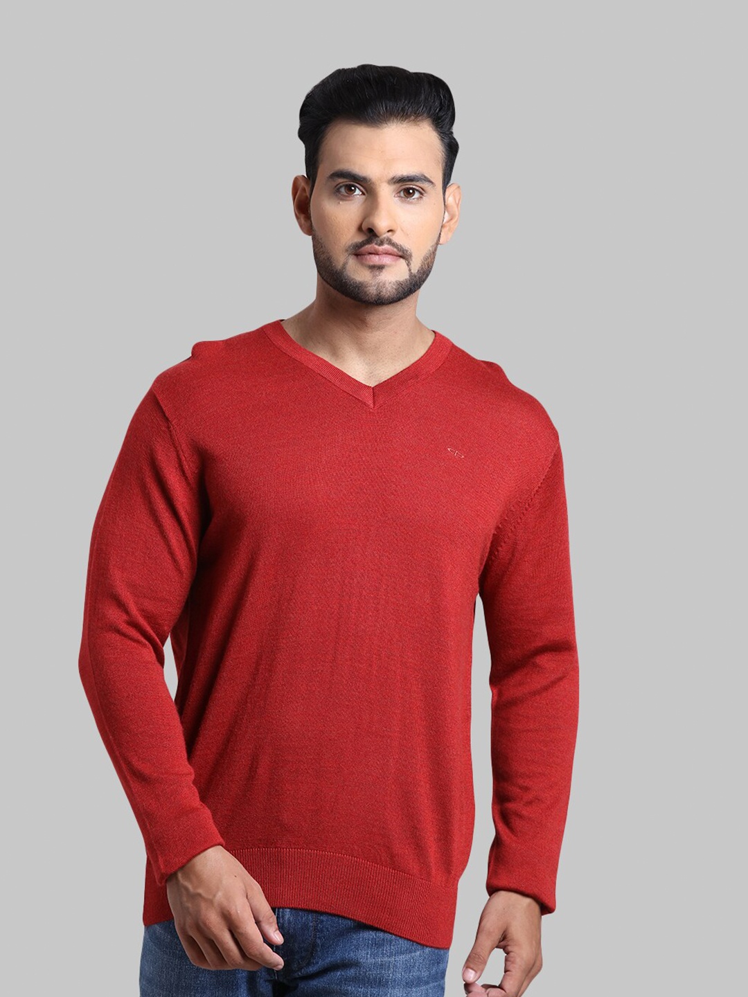 

ColorPlus Men Red Solid Pullover