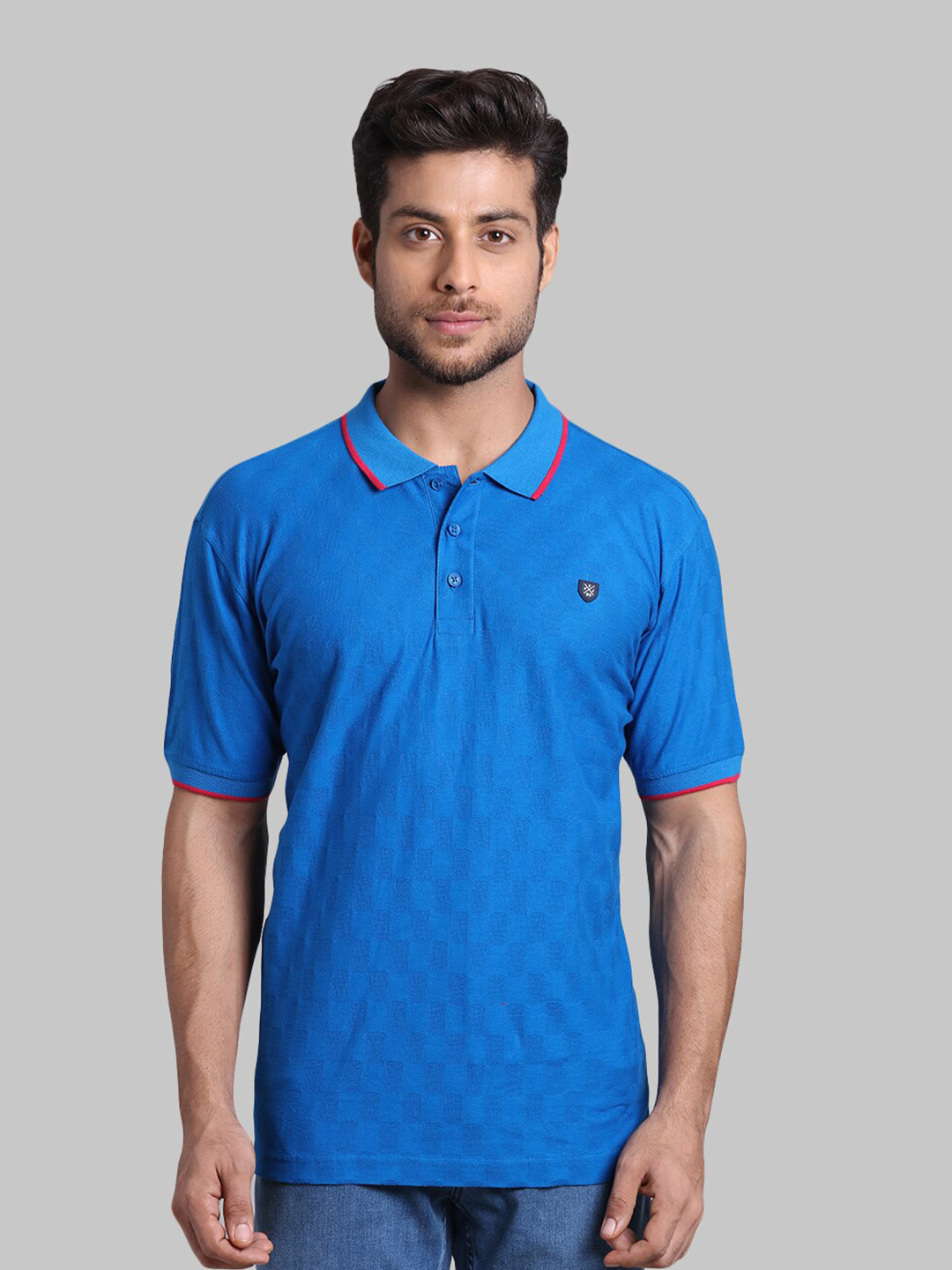 

ColorPlus Men Blue Polo Collar T-shirt