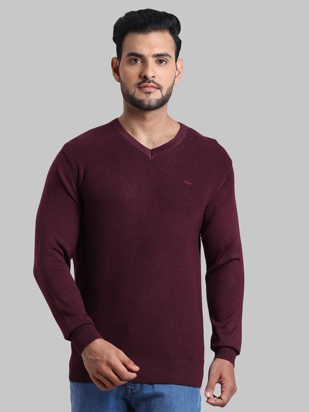 

ColorPlus Men Maroon Solid Pullover