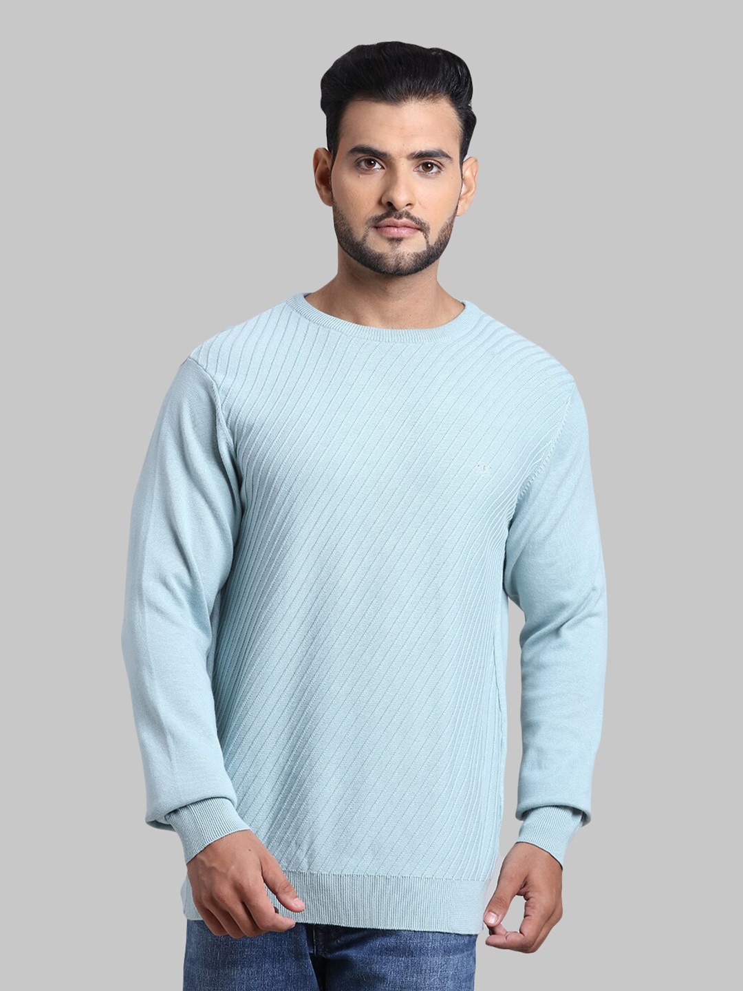 

ColorPlus Men Blue Pullover