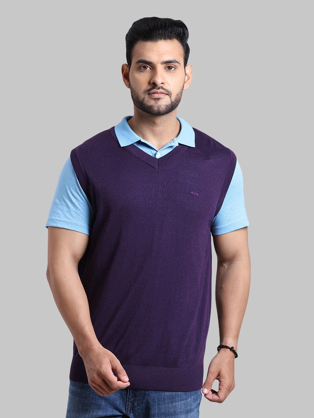 

ColorPlus Men Plus Size Purple Sweater Vest