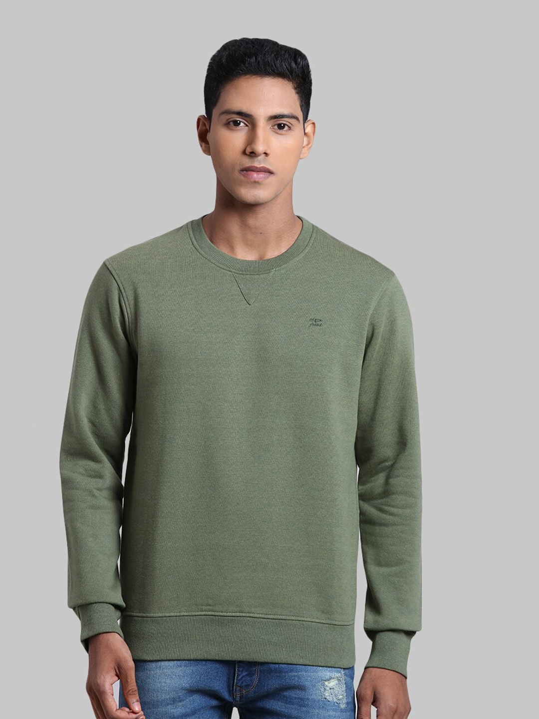 

ColorPlus Men Green Cotton Sweatshirt