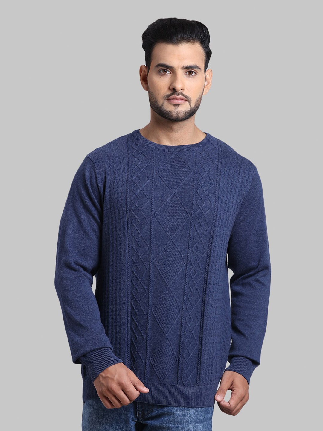 

ColorPlus Men Blue Pullover