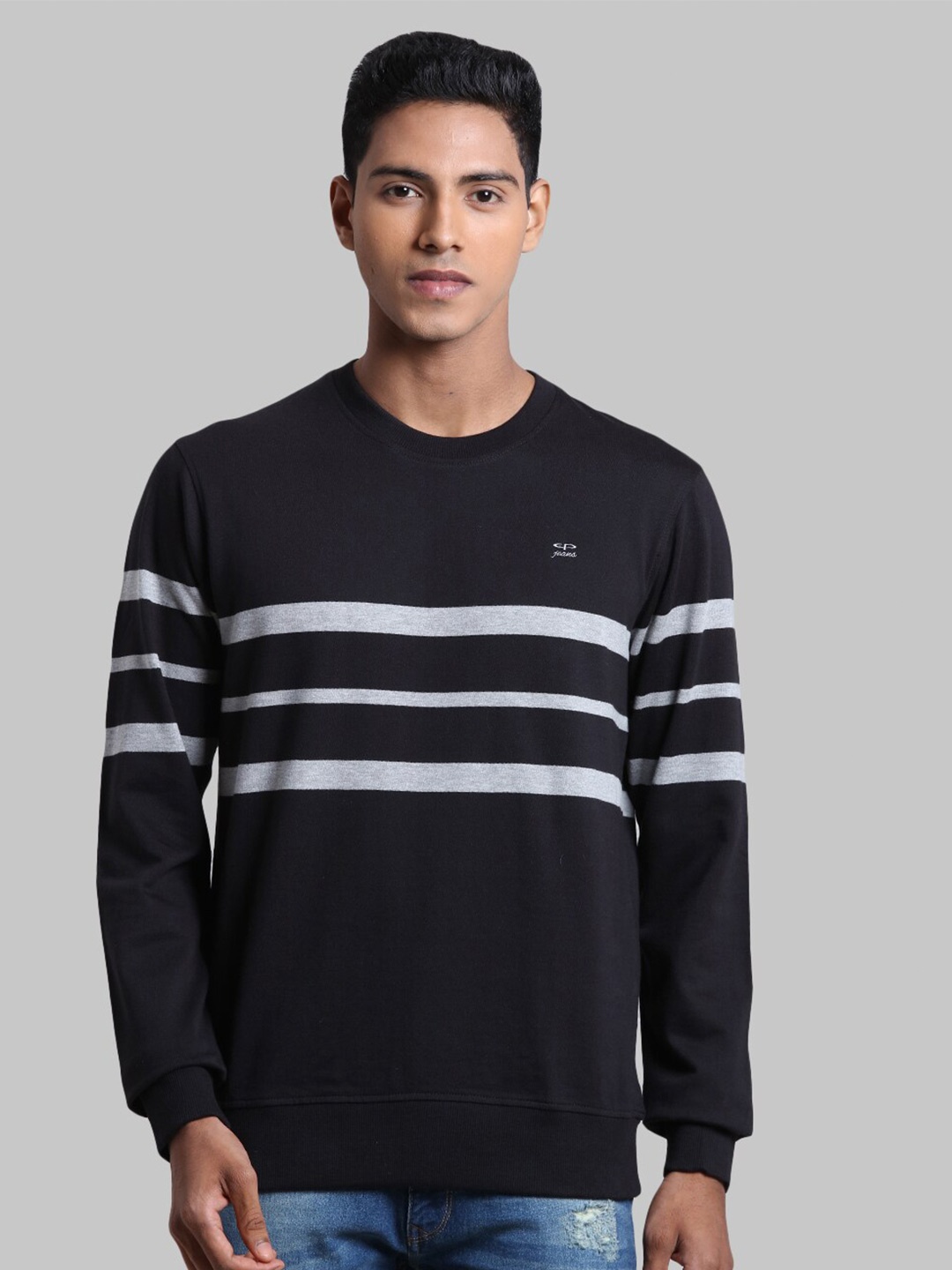 

ColorPlus Men Plus Size Black Striped Sweatshirt