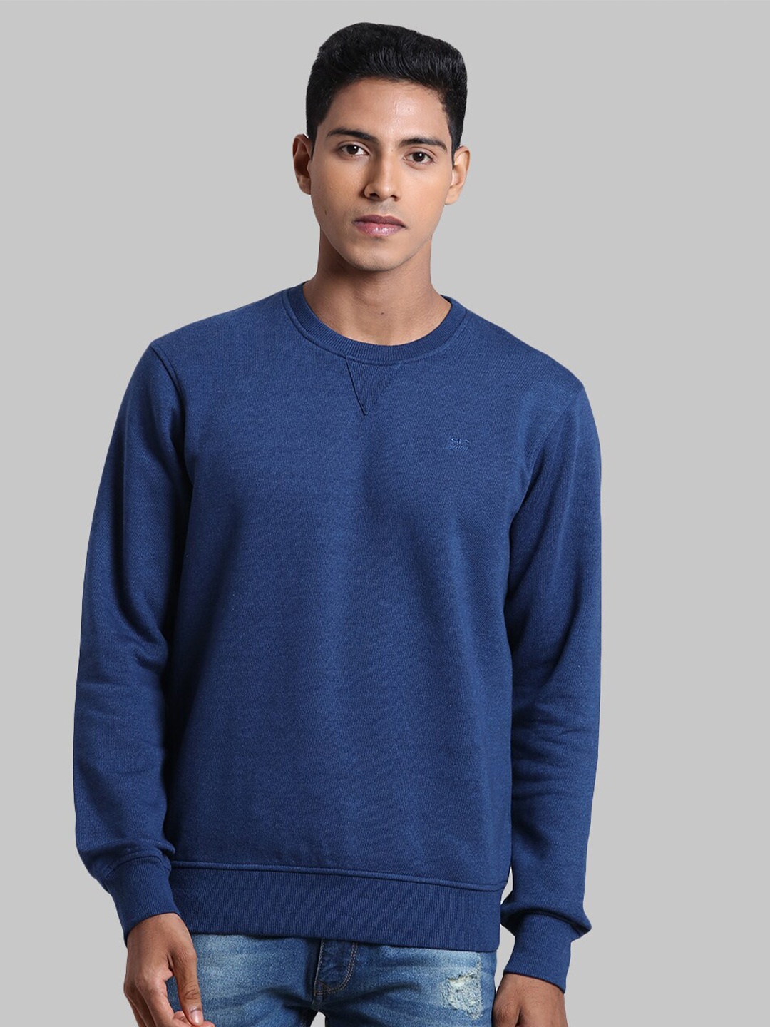 

ColorPlus Men Blue Pullover Sweatshirt